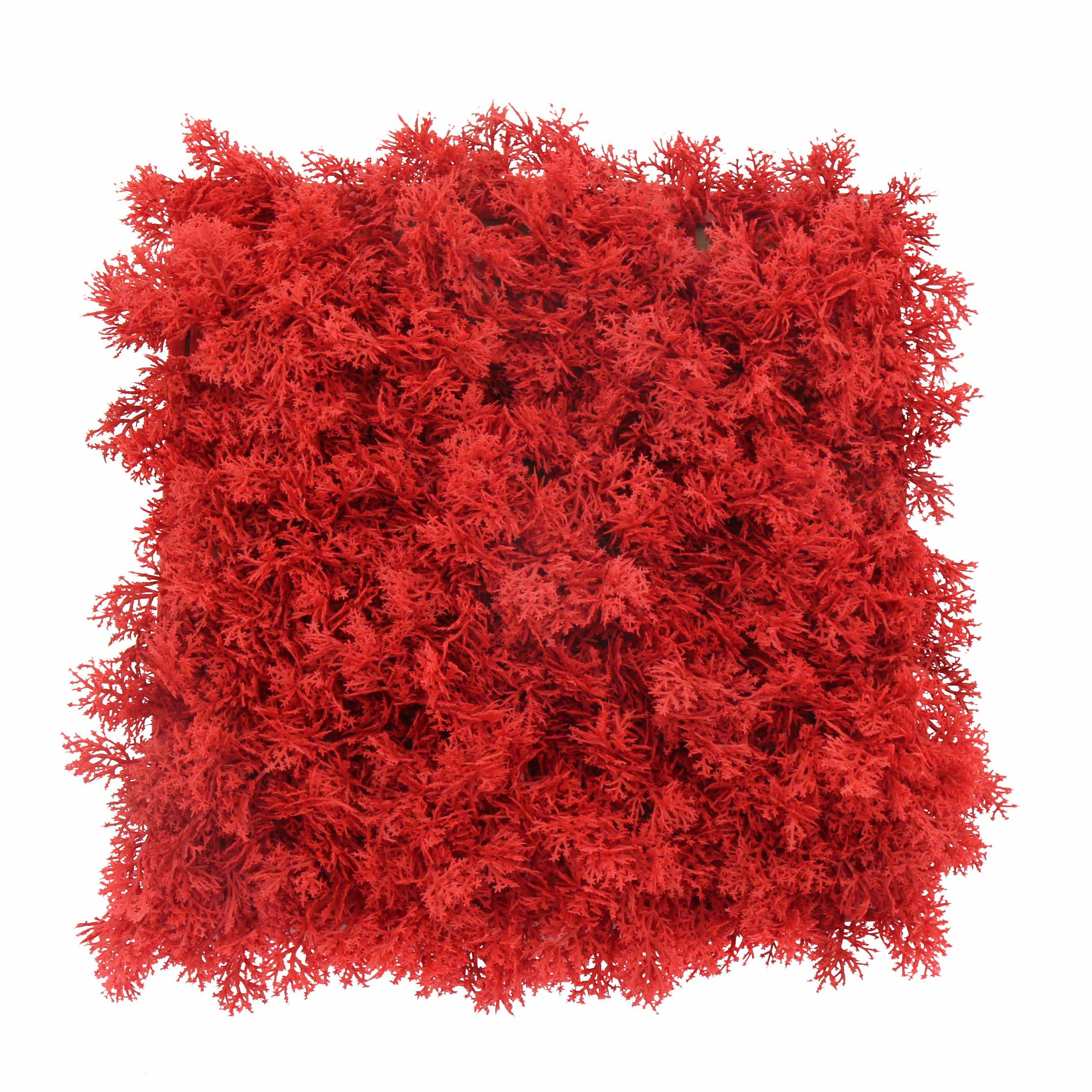 Pannello Lichene Artificiale 100x100cm Rosso - immagine 2