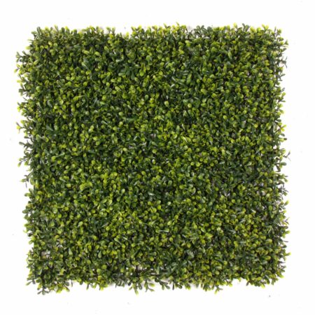 Siepe Artificiale BOXWOOD Aureovariegata cm 50x50 in mattonelle