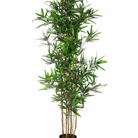 Bambu Panda Artificiale H. 175/180 adatto per esterni - 5/6 Canne Naturali
