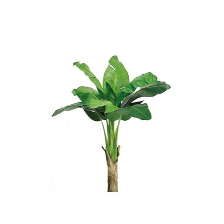 Banano Artificiale King Small 80cm