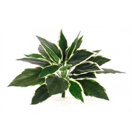 Hosta Artificiale variegata, cespuglio resistente ai raggi U.V.
