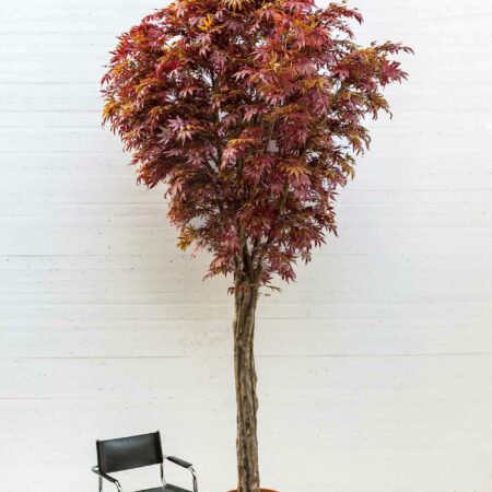 Acero Artificiale Rosso Tronco Build-up - h.400 cm.