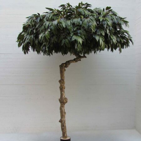 Mango Artificiale verde, tronco Umbrella, UVR, altezza cm. 275