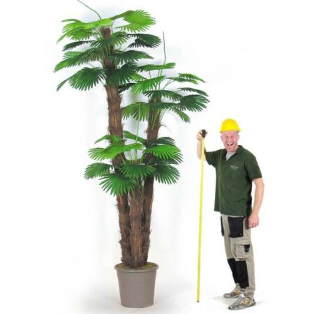 Camerus Artificiale tre tronchi Cm. 170-240-300 - Tronchi in fibra naturale di Cocco