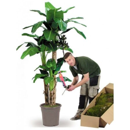 Banano Artificiale con 3 Piante da cm. 80/150/230 Tronco Naturale
