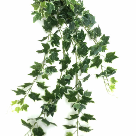 Edera cespuglio cadente artificiale variegata, cm 110