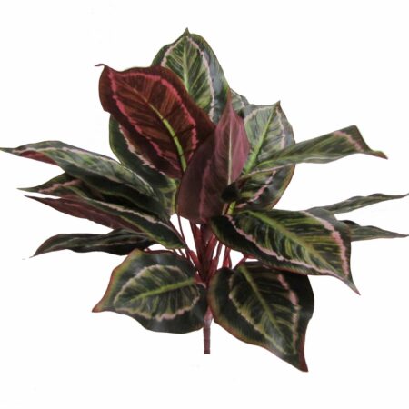 Calathea Cespuglio artificiale variegato, cm 38