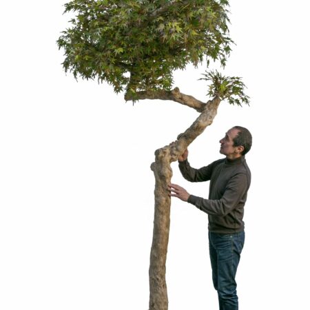 Acero Artificiale autunnale, foglie mini, tronco Umbrella,  H.275