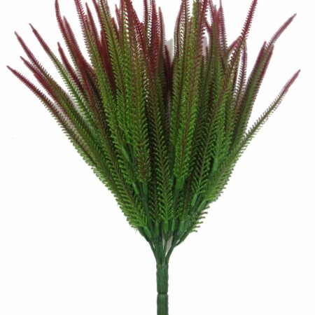 Erica Calluna Green&Red, Resistente ai raggi UV