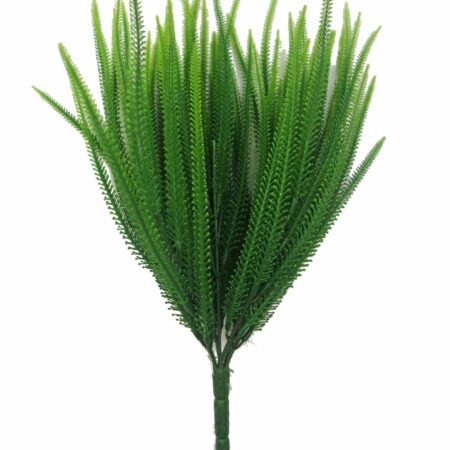 Erica Calluna Verde, Resistente ai raggi UV