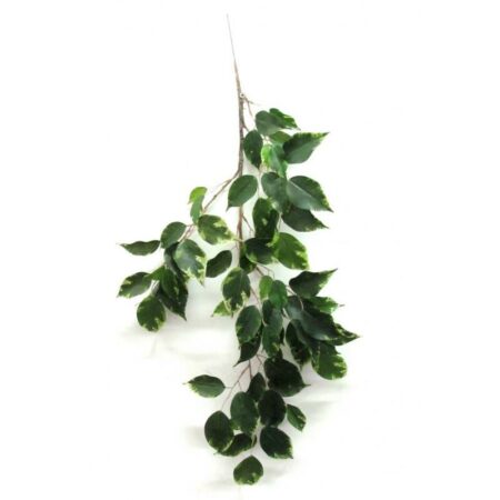 Ficus Artificiale Exotica Variegato, ramo con 75 foglie