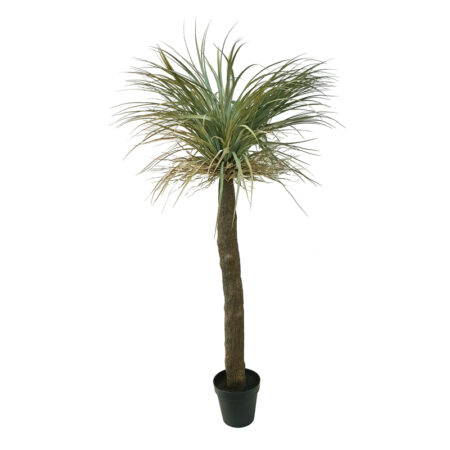 Wild Yucca Verde cm. 180