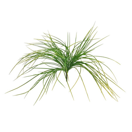 Erba Cipollina, Verde Chiaro cm.62 Resistente ai Raggi UV