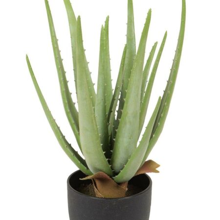 Aloe Artificiale Verde cm. 38