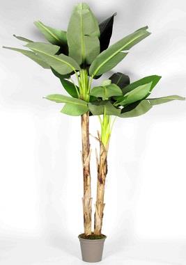 Banano Artificiale con 2 Piante da cm. 150/230 Tronco Naturale
