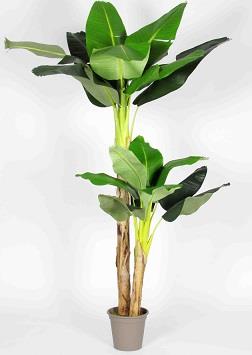 Banano Artificiale con 2 Piante da cm. 80/150 Tronco Naturale
